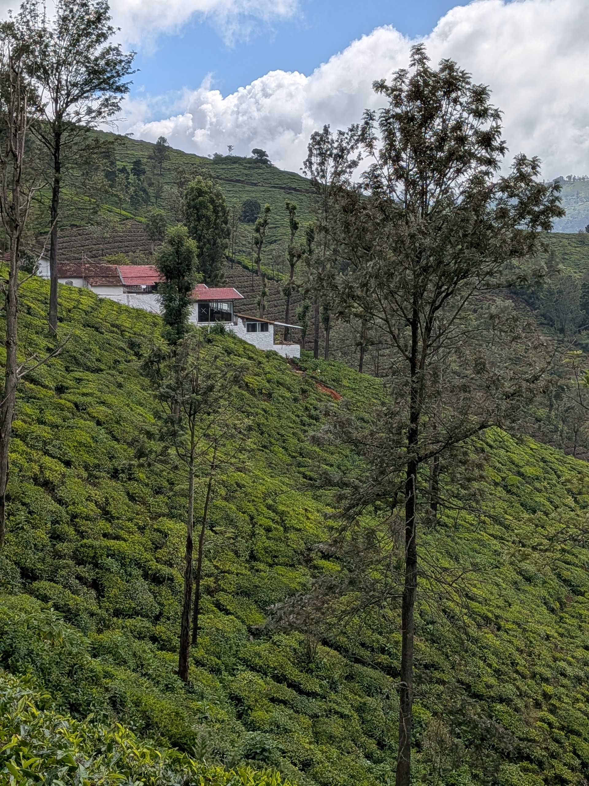 PXL_20251217_052220258
